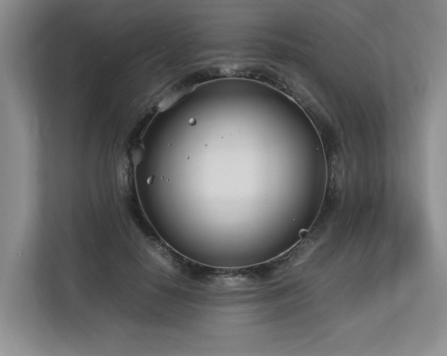 X0000112790650200908211114