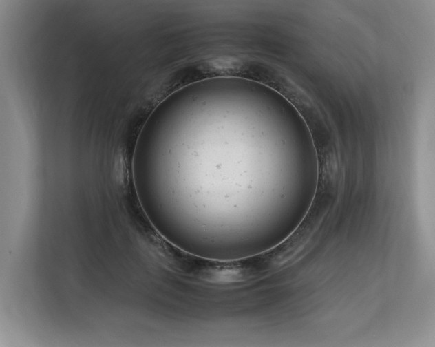 X0000112790651200908211114
