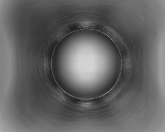 X0000112790653200908211114