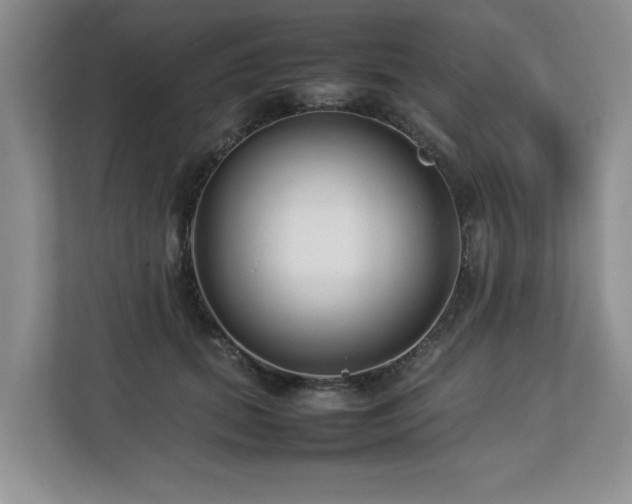 X0000112790655200908211114