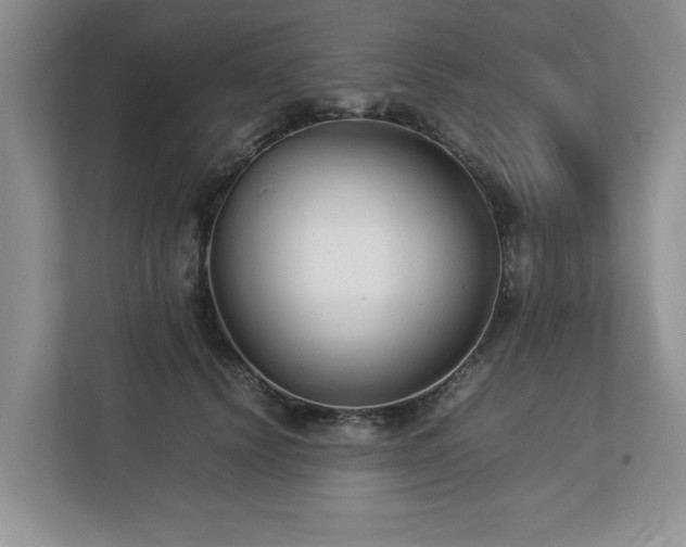 X0000112790656200908211114