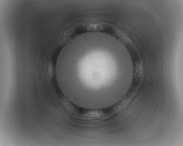 X0000112790659200908211114