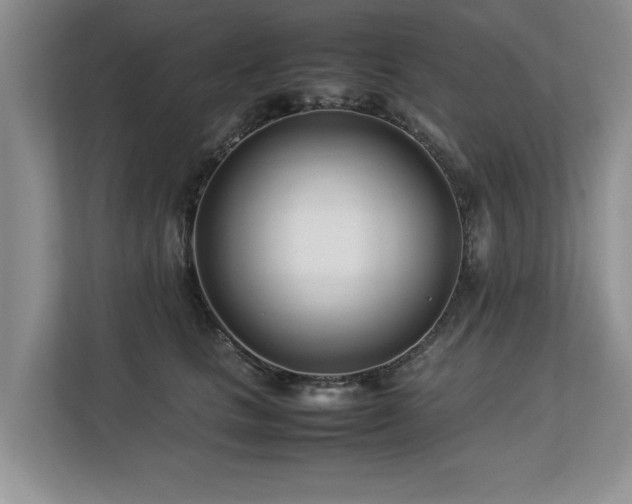 X0000112790661200908211114