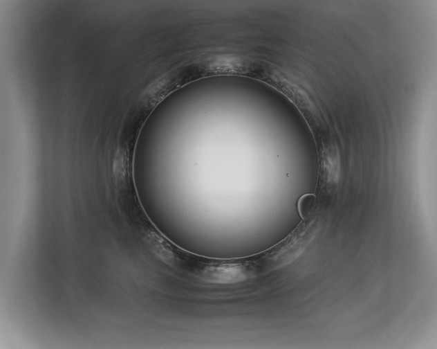 X0000112790665200908211114