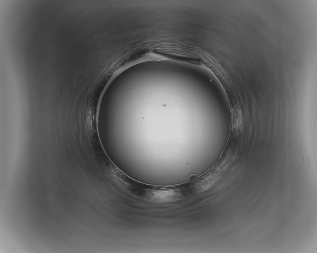 X0000112790669200908211114