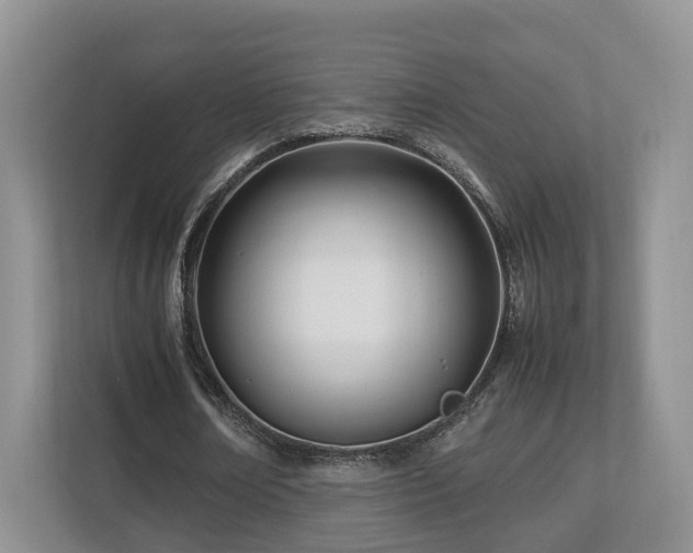 X0000112790674200908211114