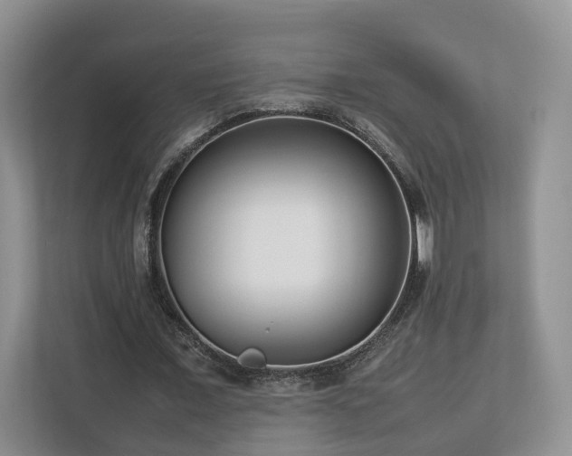 X0000112790675200908211114