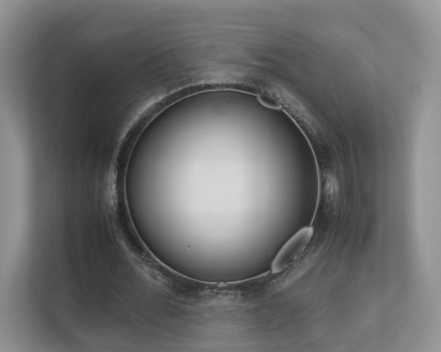 X0000112790676200908211114