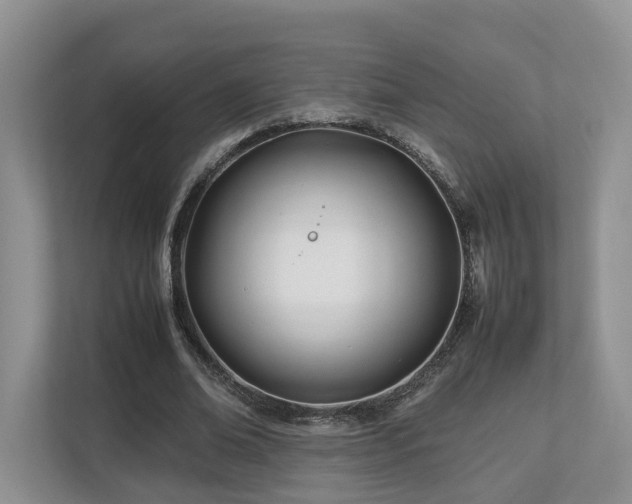 X0000112790678200908211114