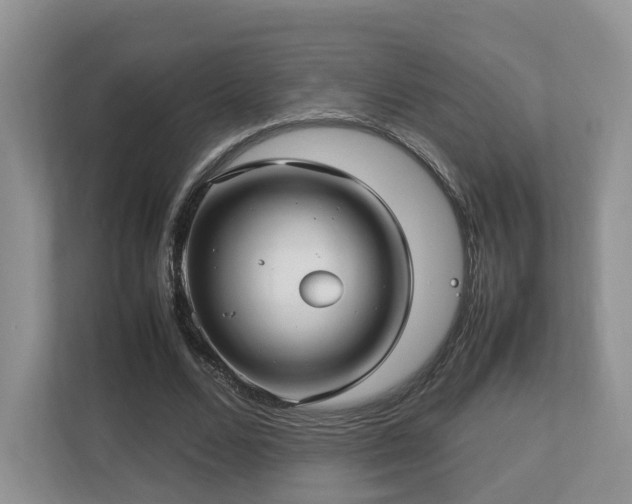X0000112790680200908211114
