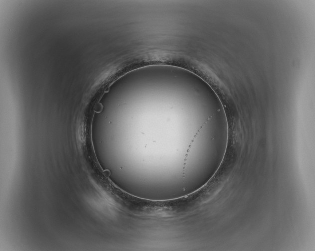 X0000112790683200908211114