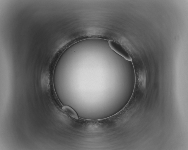 X0000112790684200908211114