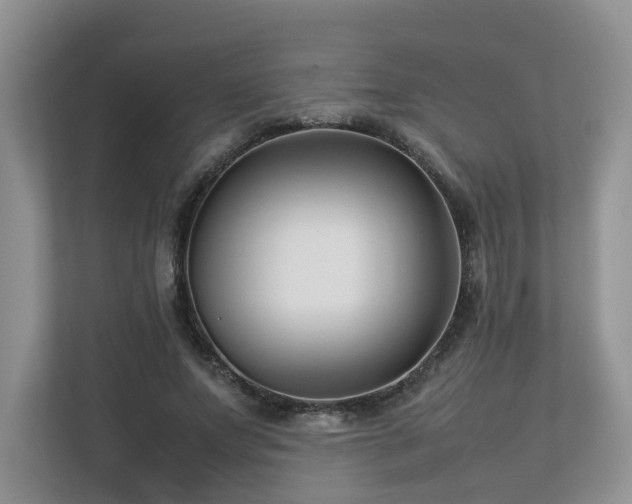 X0000112790687200908211114