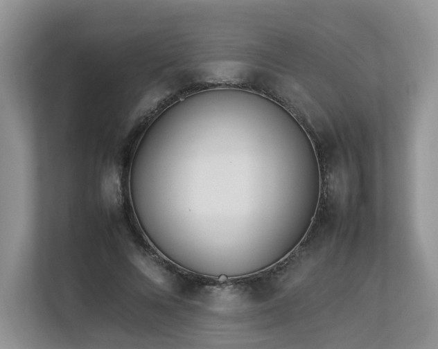 X0000112790688200908211114
