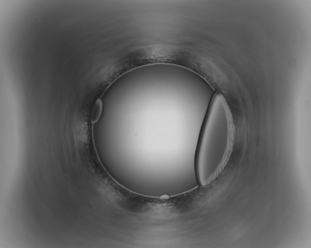 X0000112790689200908211114