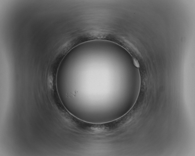 X0000112790693200908211114