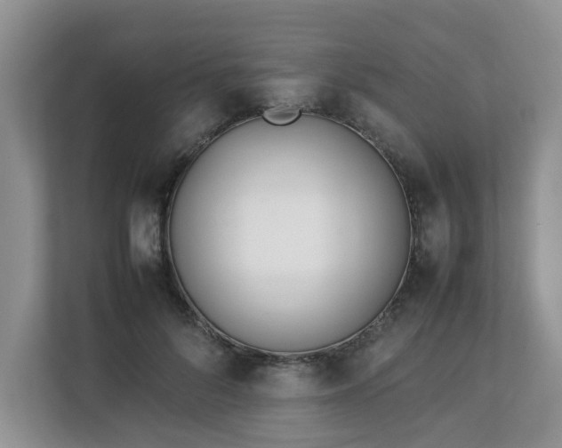 X0000112790696200908211114