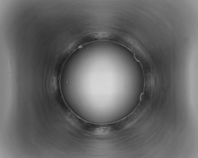 X0000112790700200908211113