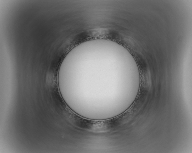 X0000112790705200908211113