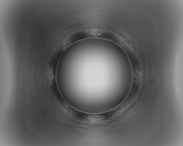 X0000112790707200908211113