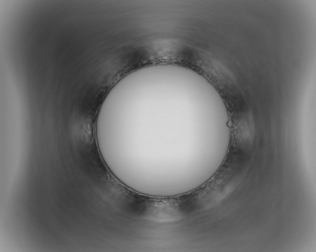 X0000112790709200908211113