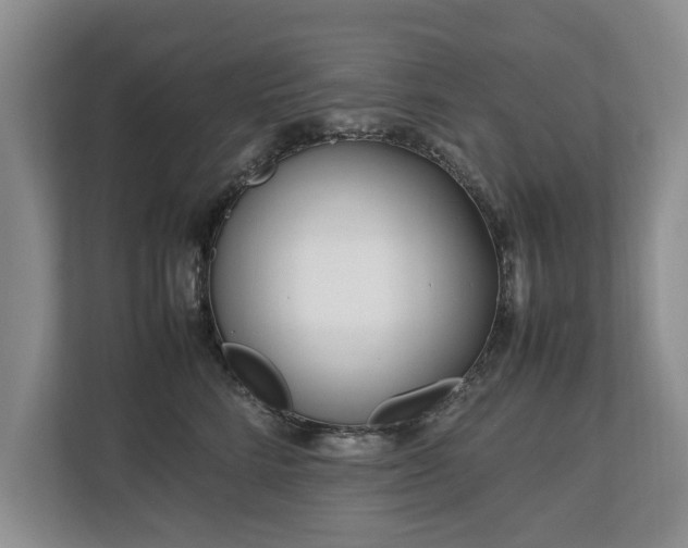 X0000112790712200908211113