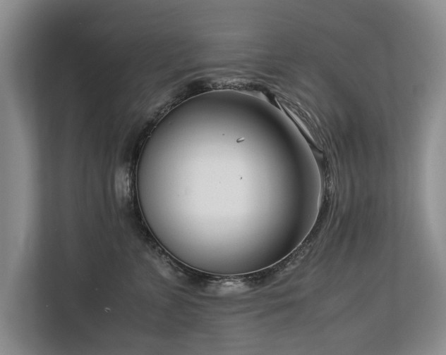 X0000112790715200908211113