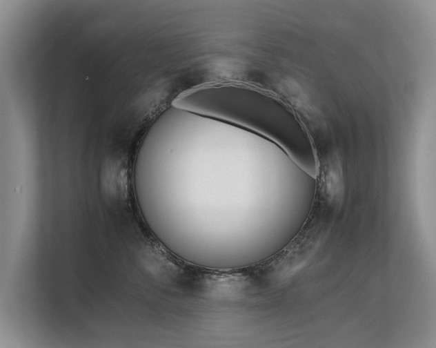 X0000112790716200908211113