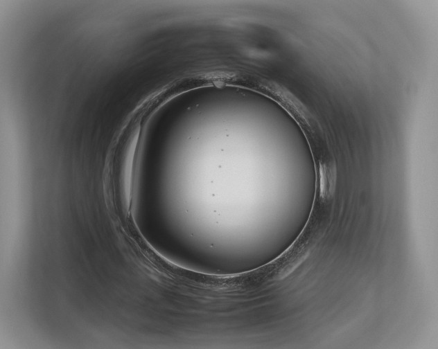 X0000112790723200908211113
