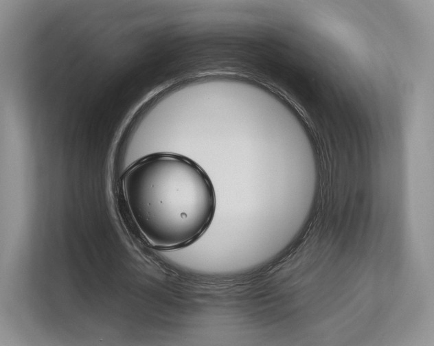 X0000112790724200908211113