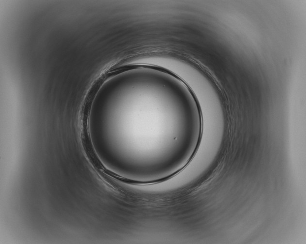 X0000112790725200908211113