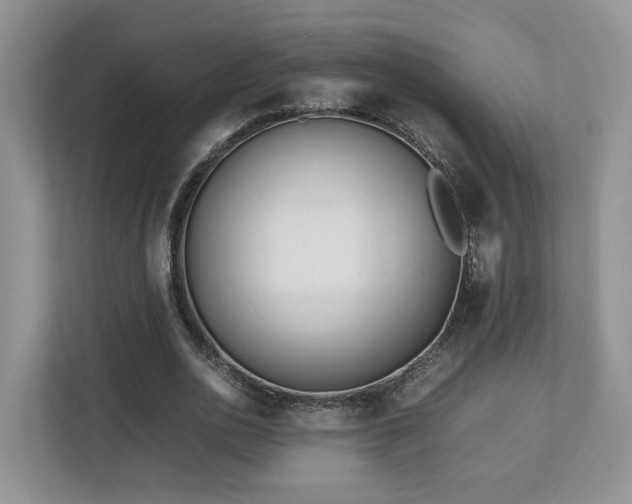 X0000112790726200908211113