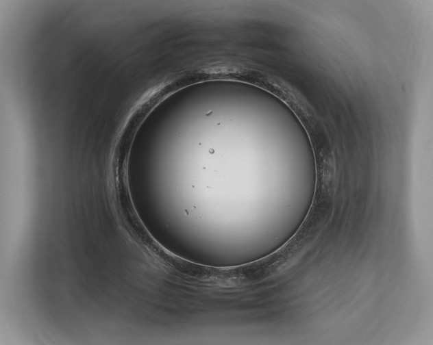 X0000112790727200908211113