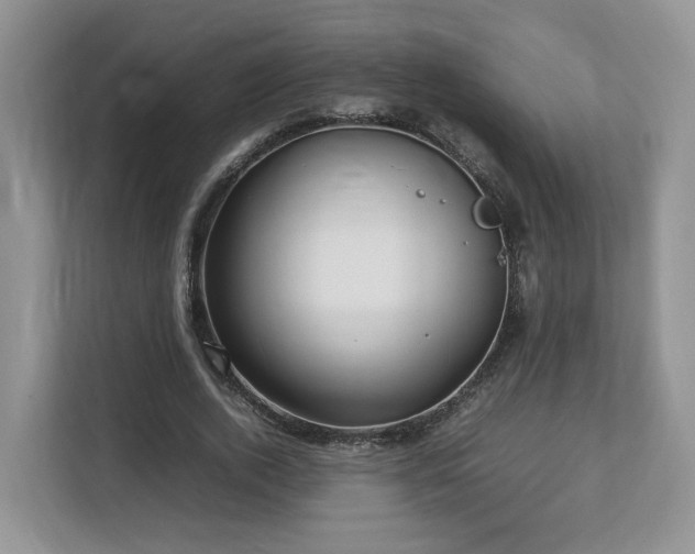 X0000112790728200908211113