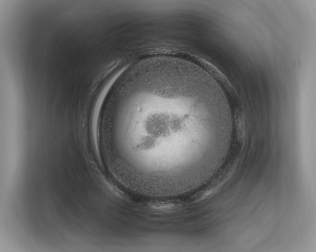 X0000112790729200908211113