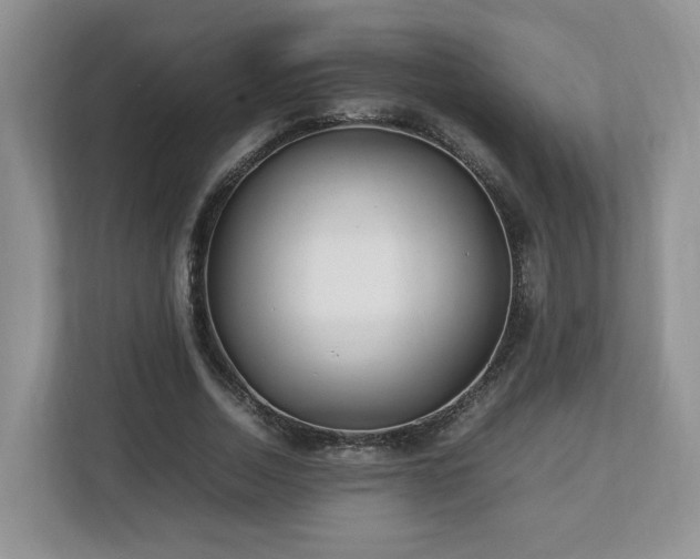 X0000112790730200908211113