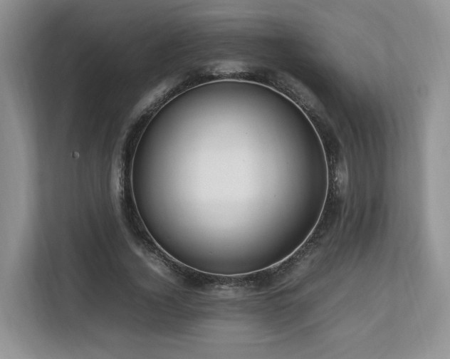 X0000112790732200908211113