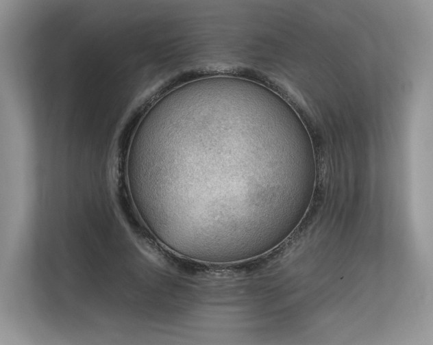 X0000112790736200908211113