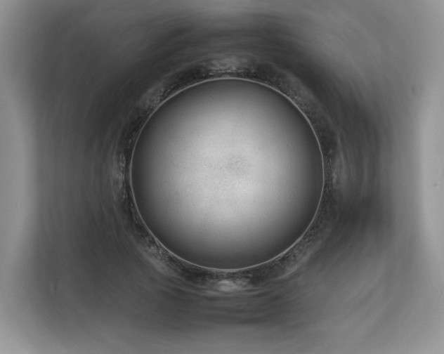 X0000112790737200908211113
