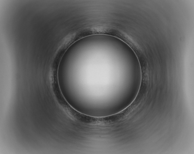 X0000112790738200908211113