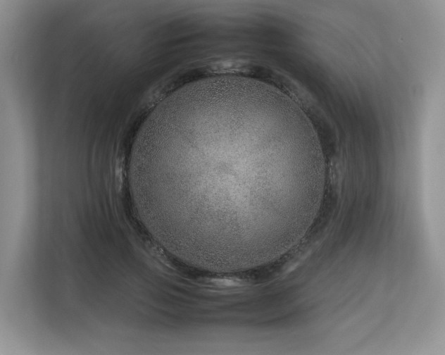 X0000112790741200908211113