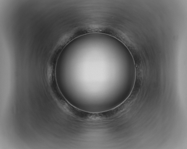X0000112790742200908211113