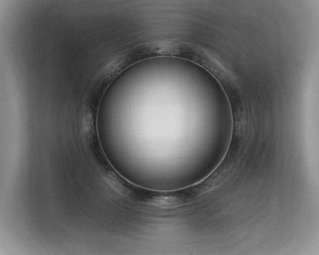 X0000112790748200908211113