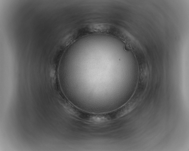 X0000112790749200908211113