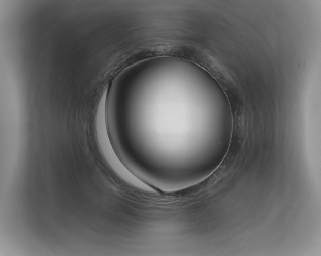 X0000112790750200908211113