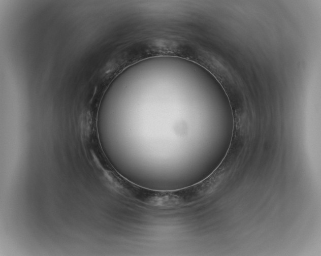 X0000112790752200908211113
