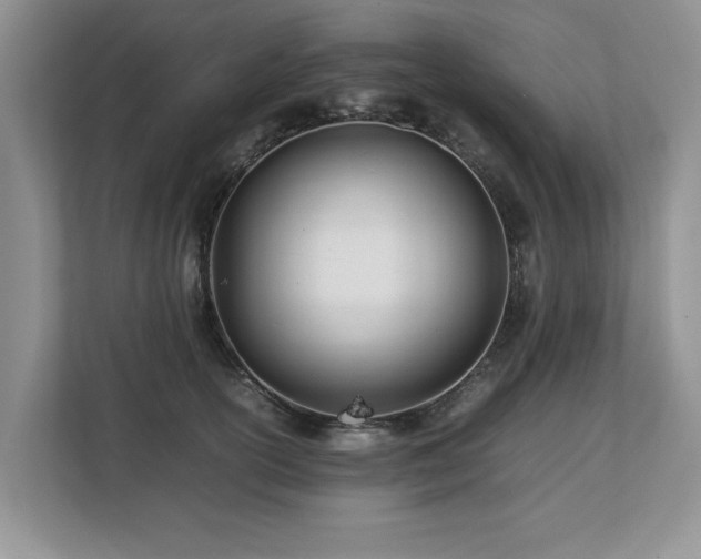 X0000112790754200908211113