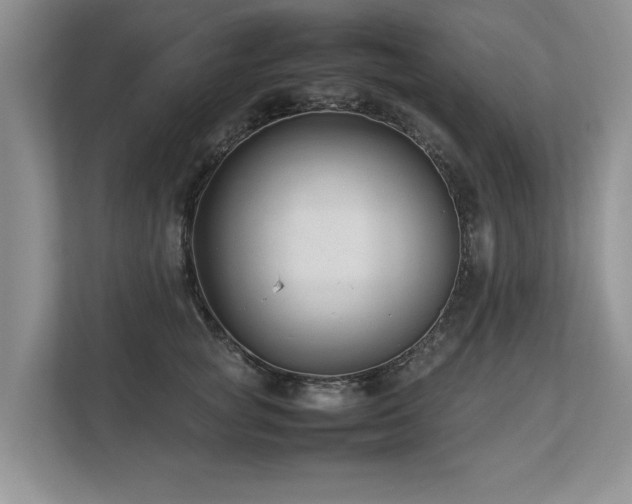 X0000112790757200908211113