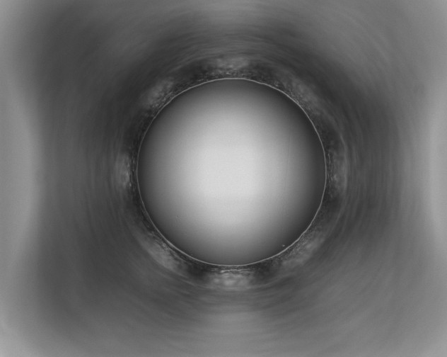 X0000112790758200908211113