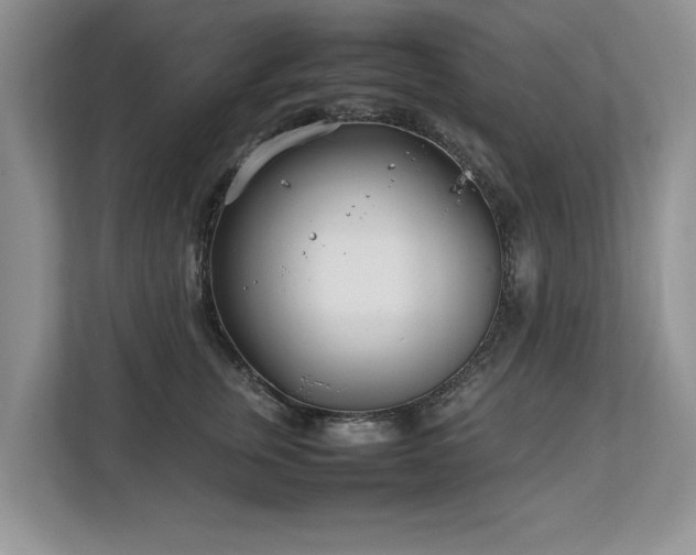 X0000112790759200908211113